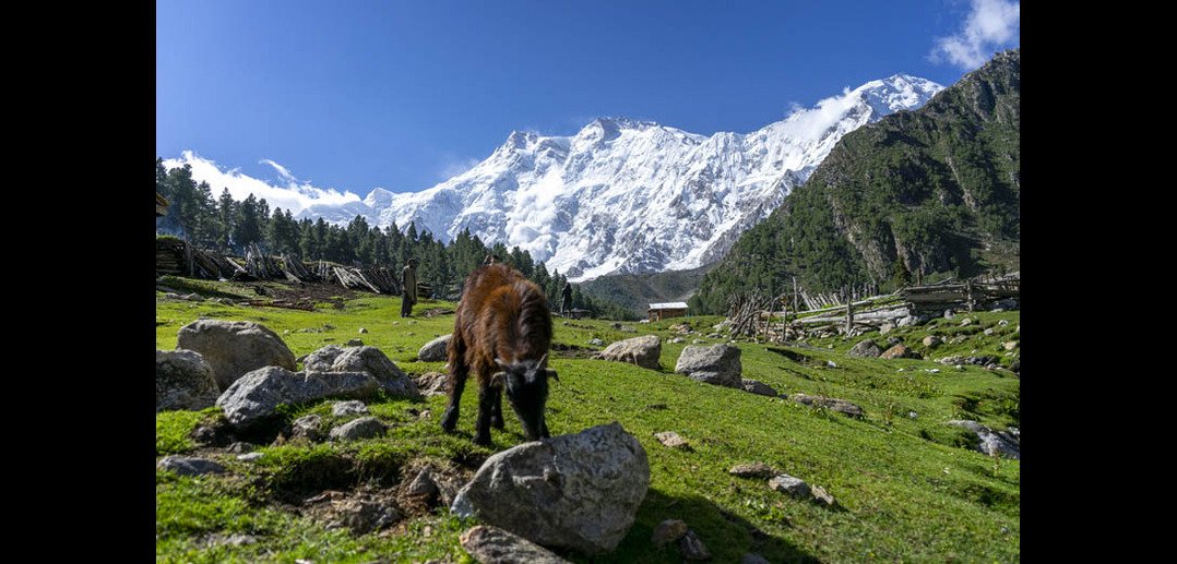 Top Activities in Pakistan