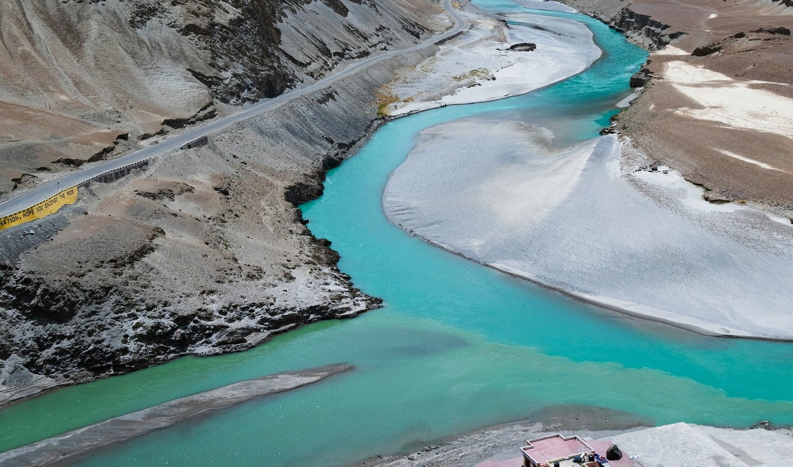 Indus River Blind Dolphins – All you Need to Know