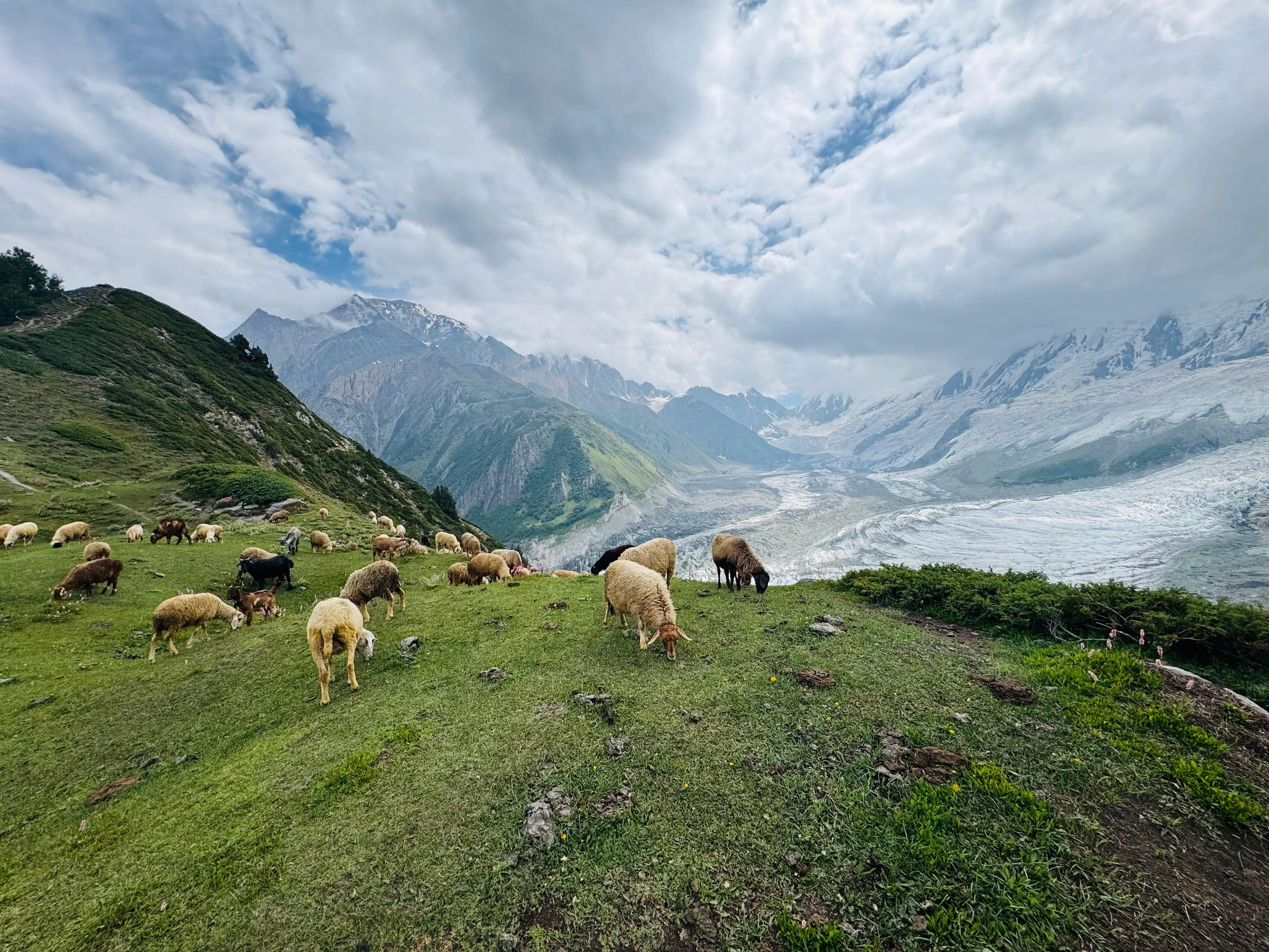 Rakaposhi