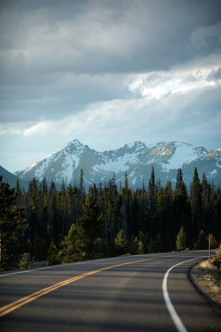 Road Trips