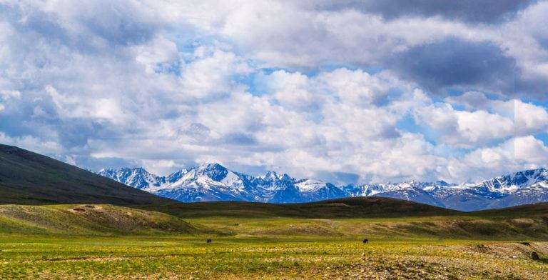 Deosai National Park