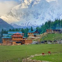 Fairy Meadows