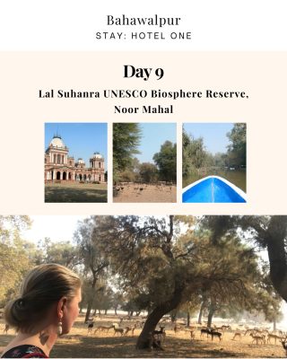 Pakistan-Luxury-Small-Group-Tour-of-UNESCO-World-Heritage-Sites-10.jpg